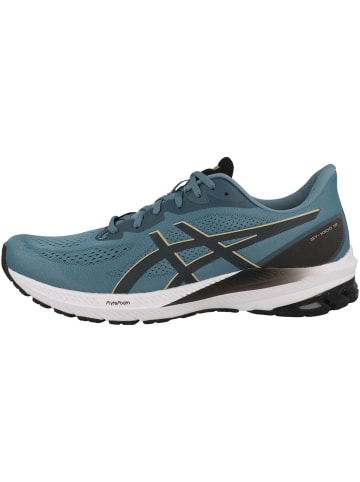 asics Laufschuhe GT-1000 12 in blau