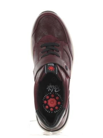 Sneaker in Wine