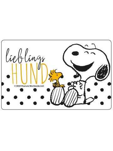 Snoopy The Peanuts Brotdose mit Trennwand Snoopy - Lieblings Hund in schwarz