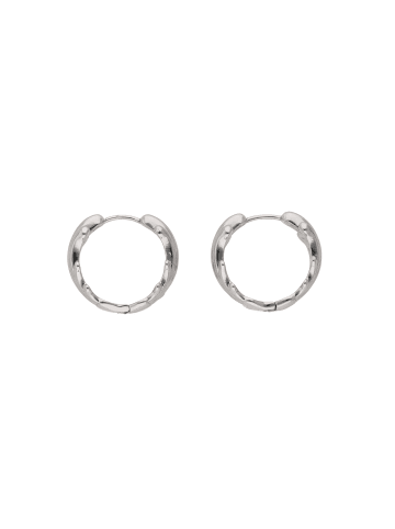 grassland Women Stud Earrings in Silver