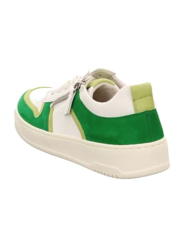 Gabor Sportliche Schnürschuhe in Weiß