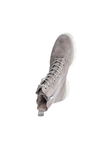 Paul Green Stiefelette in taupe