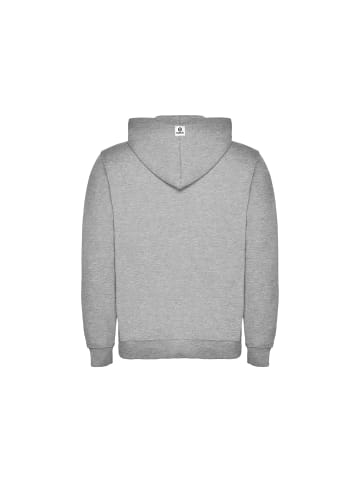 Superb Hoodie in Gray