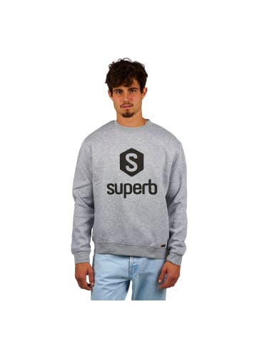 Superb Sweatshirt in Gray