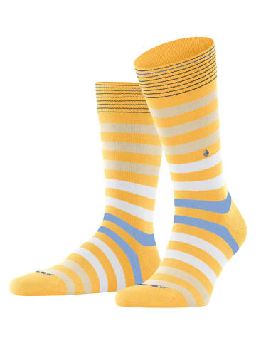 Burlington Socke Blackpool SO in Sun