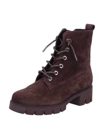Gabor Damen Stiefel/Boots ungefüttert Schnürstiefeletten F in Braun