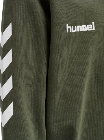 Hummel Hummel Cotton Kapuzenpullover Hmlgo Multisport Kinder in GRAPE LEAF