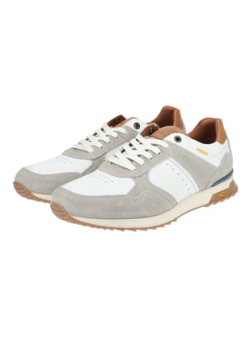 Camel Active Sneaker in Weiß/Braun