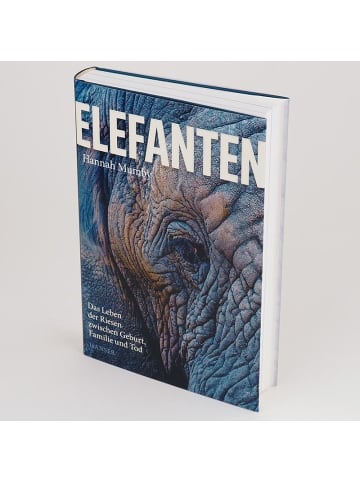 Carl Hanser Verlag Elefanten