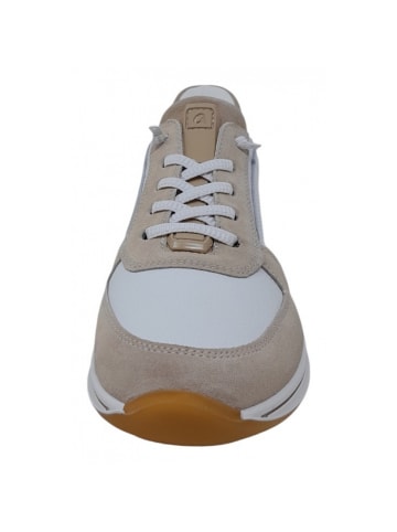 ara sportlicher Schnürer Osaka 2,0 Weite H in Beige