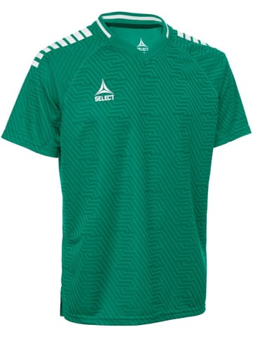 Select Trikot "Monaco Trikot V24" in Grün