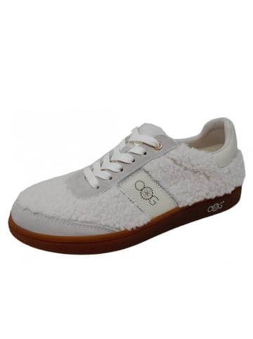 OOG Sneaker  in Weiß
