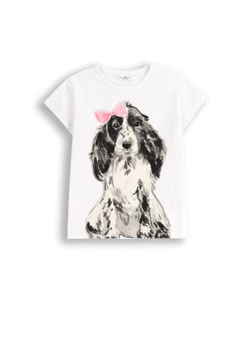 Coccodrillo T-Shirt mit kurzem Ärmel in weiß
