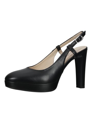 Nero Giardini Pumps in Schwarz