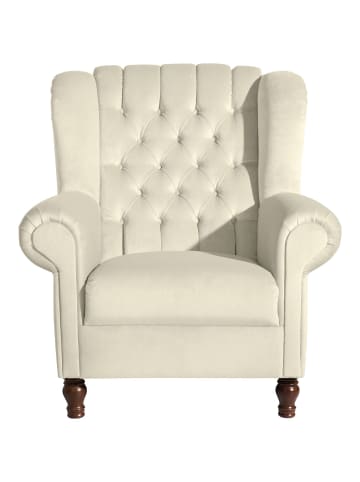 58 aufm Kessel OHRENBACKENSESSEL Katreen Bezug Samtvelours Buche nussbaum dunkel / creme