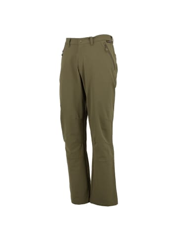 Jack Wolfskin Hose Feelgood Softshell Pant Essentials in Grün