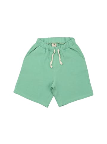 Walkiddy Shorts Raspberries - Shorts