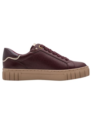 Marco Tozzi Sneaker in BORDEAUX
