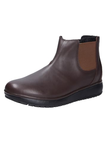 Joya Stiefelette LONDON II DARK BROWN in braun