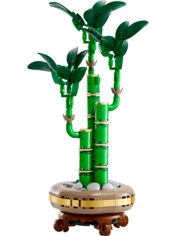 LEGO Botanical Collection Glücks-Bambus in Mehrfarbig ab 18 Jahre