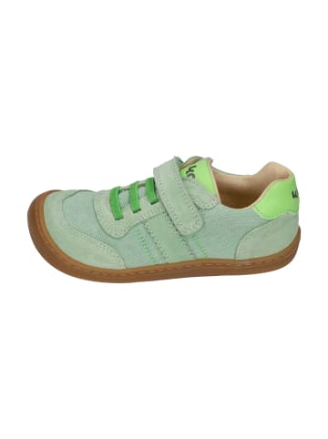 KOEL Sneaker Low DYLAN COTTON 3.0 in grün