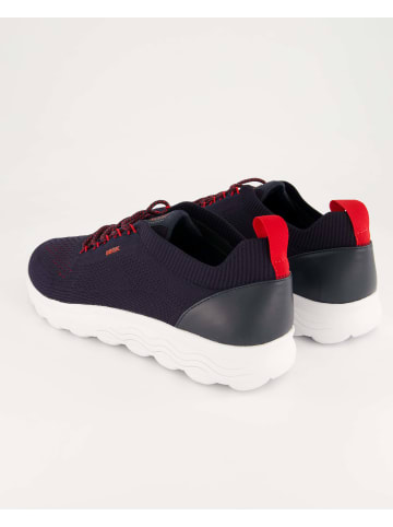 Geox Sneaker low in Blau