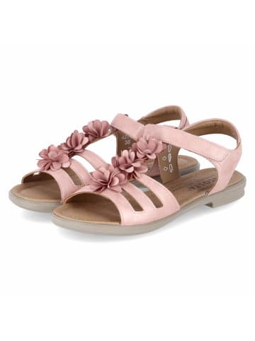PEPINO Sandalen AURORA in rosa