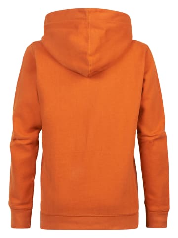 Petrol Industries Hoodie mit Aufdruck Tinley Park in Orange