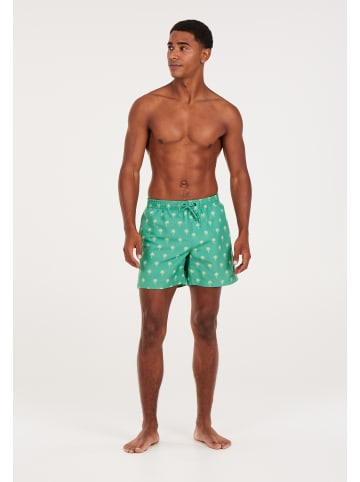 Protest " PRTALVIS in Frosty Green