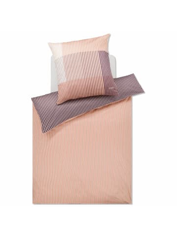 JOOP! Bettwäsche Divided 4113 08 in Caramel