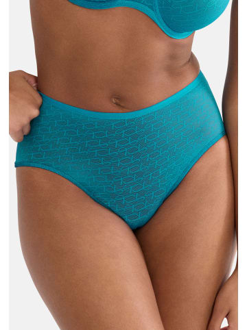 Triumph Maxi Slip Signature Sheer in Arizona blue