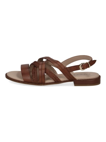 Caprice Sandalen in Cognac