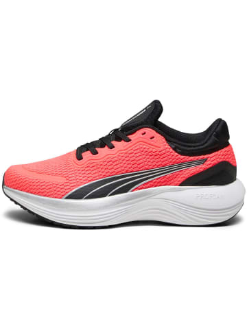 Puma Laufschuhe Scend Profoam Jr in fire orchid-puma black-puma white