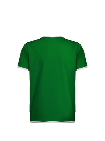 Puma Fußballtrikot TeamLIGA in grün / weiß