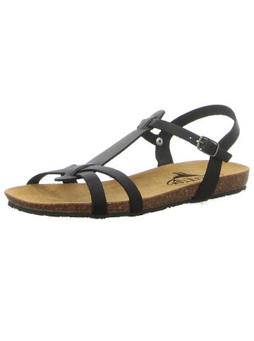 Plakton Riemchensandalette in schwarz