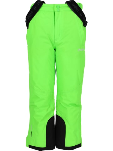 Zigzag Skihose Provo in 3002 Green Gecko