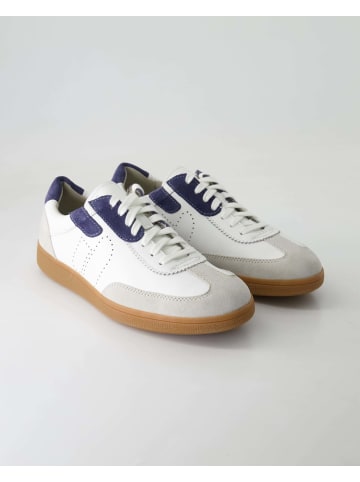 Pius Gabor Sneaker low in Grau