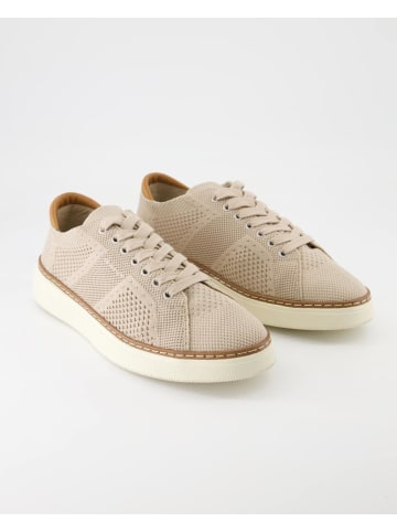 Gant Sneaker in Beige