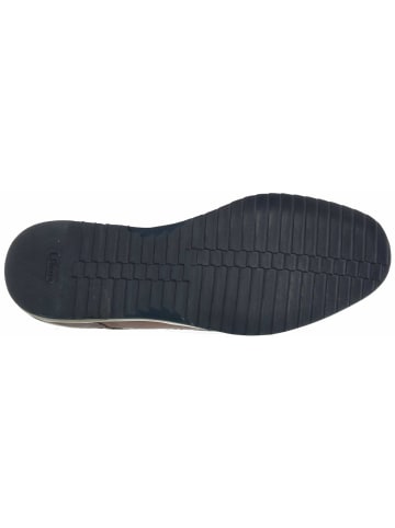 Sioux Slipper für Herren in braun in braun