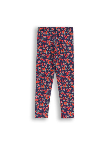 Coccodrillo Leggings mit langem Bein in bunt