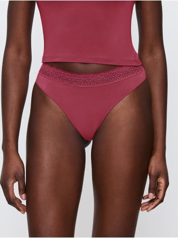 Triumph String Feel of Modal in SWEET MARSALA