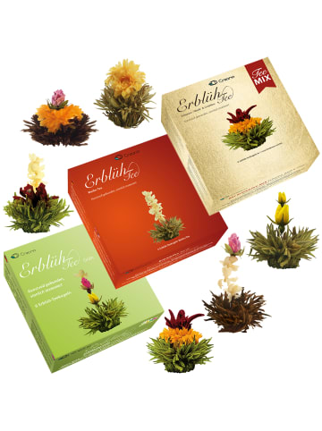 Creano 3x 6er BOX ErblühTee Grüner Tee + Weißer Tee + Grün/Weiß/Schwarz