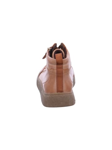Ara Shoes Sneaker high  in Braun