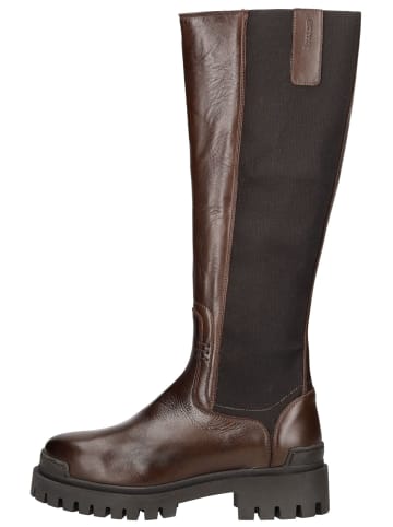 Pavement Stiefel MANDY 1 Braun/Schwarz