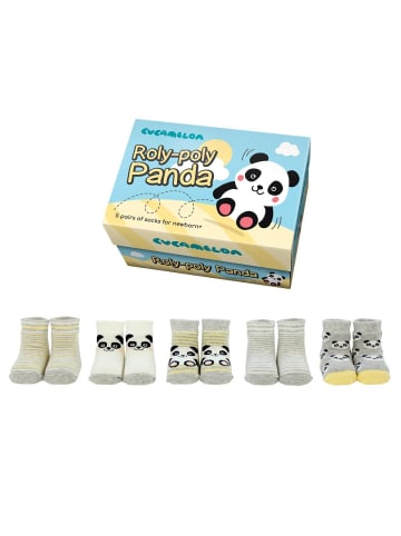 Cucamelon Socken 5er Pack in Panda