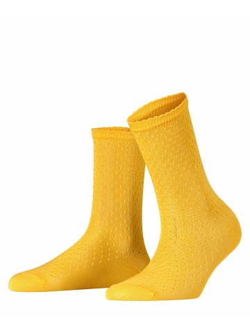 Falke Socken Pointelle in Sun ray