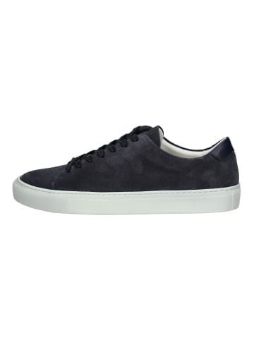 sneaky steve Sneaker in Navy