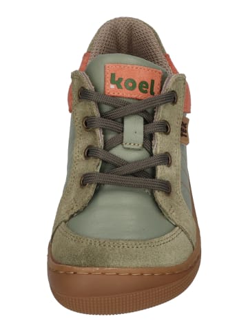 KOEL Sneaker Low DION TEX in grün