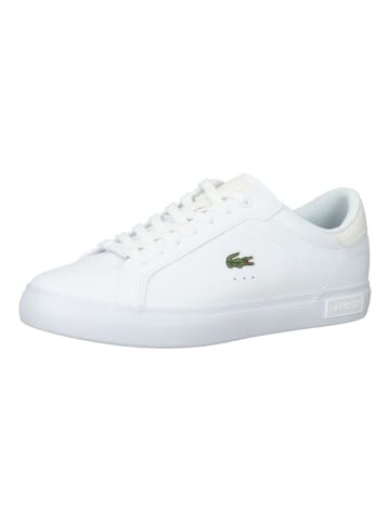 Lacoste Sneaker in Weiß/Beige