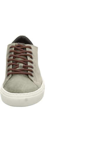 Floris van Bommel Sneaker Low in grau